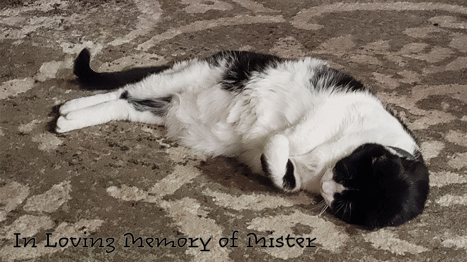 The Downsides of Being a Hermit